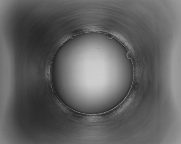 X0000101990897200807251223