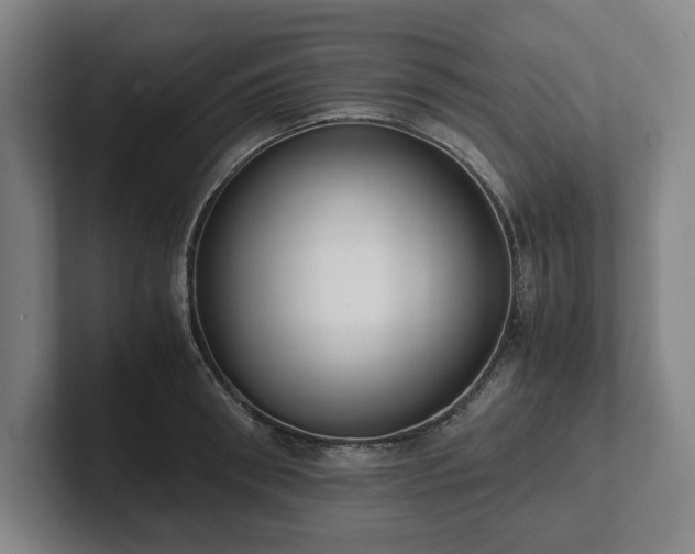X0000101990898200807251223