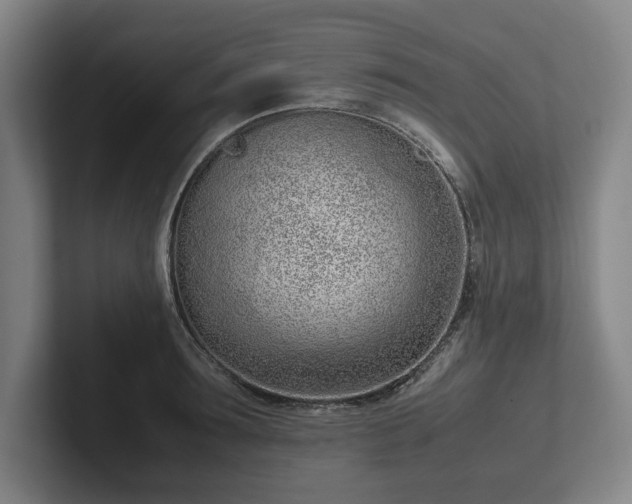 X0000101990899200807251223