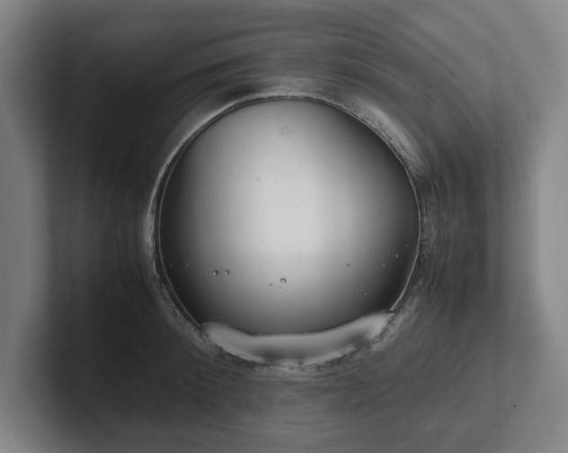 X0000101990900200807251223