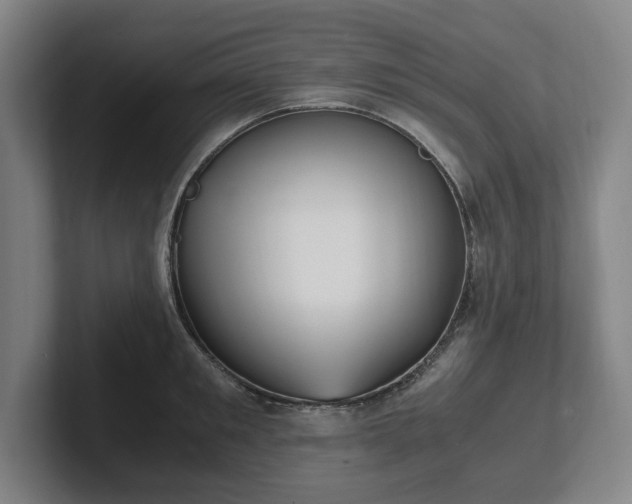 X0000101990901200807251223