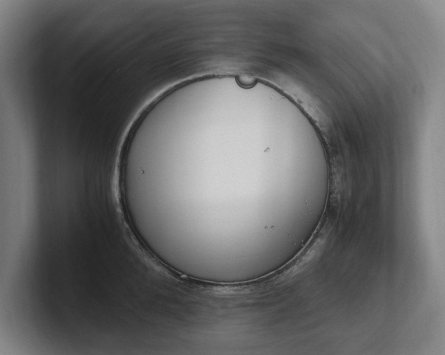 X0000101990904200807251223