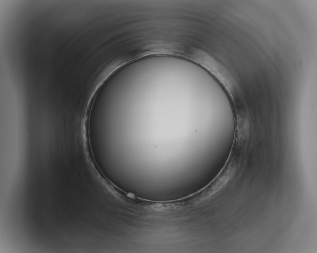 X0000101990906200807251223