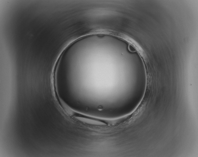 X0000101990907200807251223