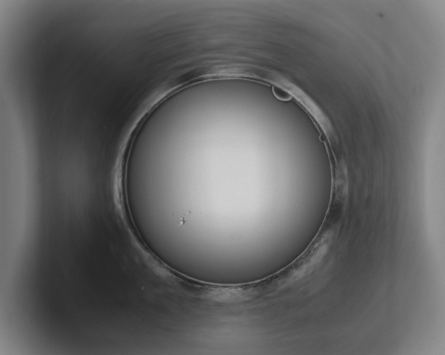X0000101990909200807251223