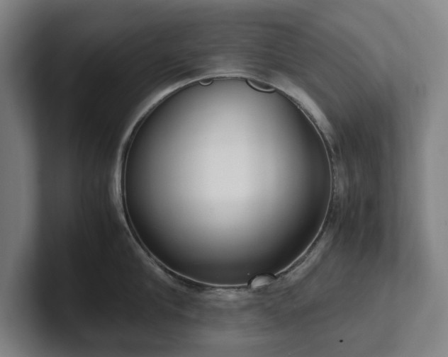 X0000101990910200807251223