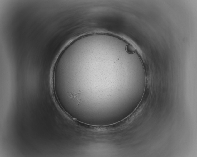 X0000101990911200807251223