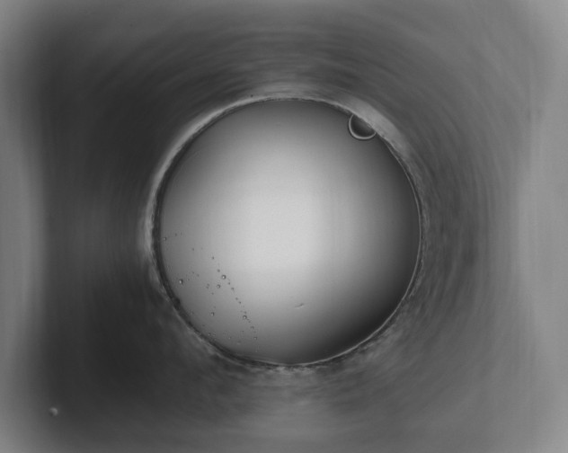 X0000101990912200807251223