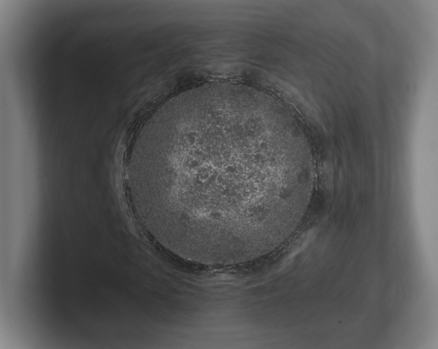 X0000101990913200807251223