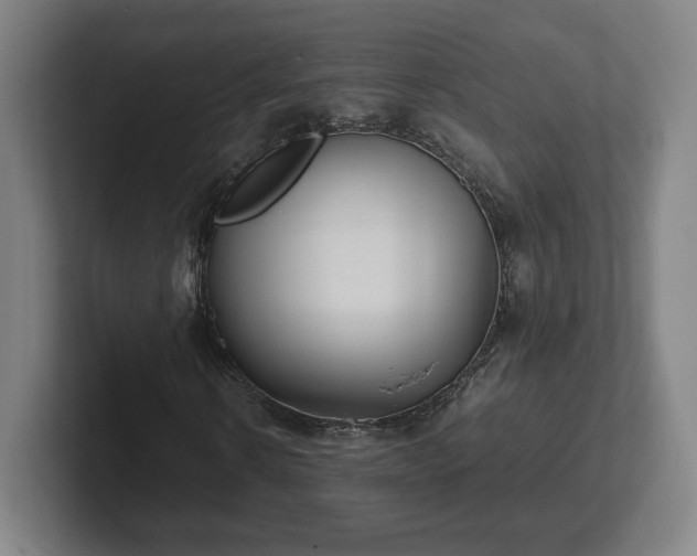 X0000101990914200807251223