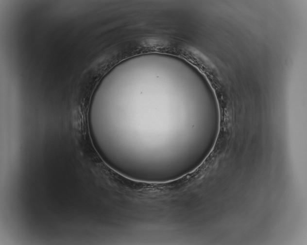 X0000101990917200807251223