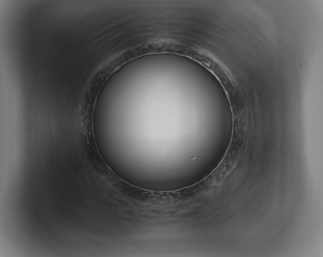 X0000101990919200807251223