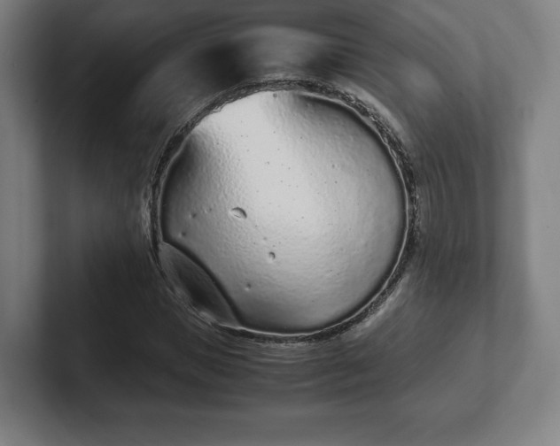 X0000101990921200807251223