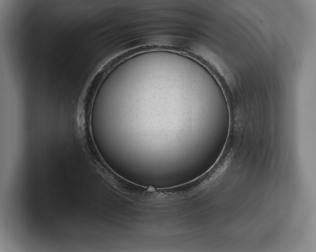 X0000101990923200807251223