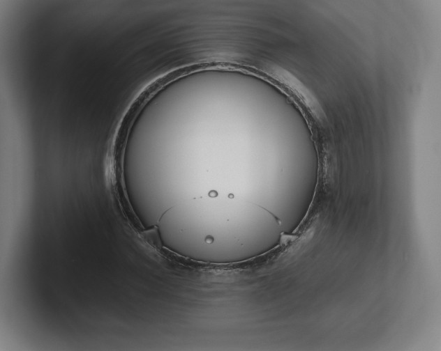 X0000101990924200807251223