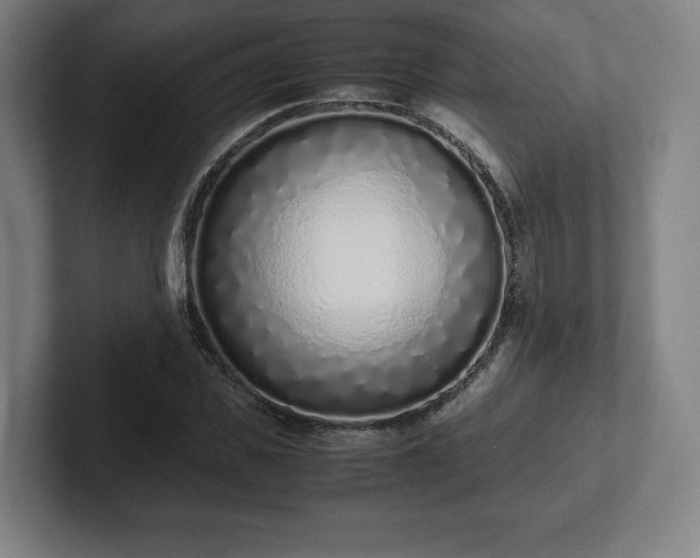 X0000101990925200807251223