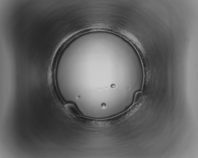 X0000101990928200807251223