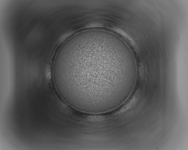 X0000101990929200807251223