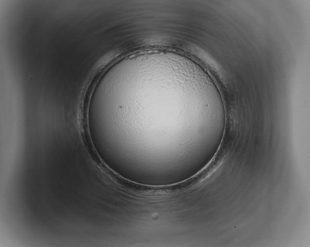 X0000101990930200807251223