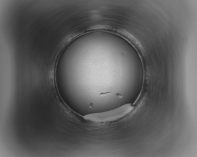 X0000101990937200807251223