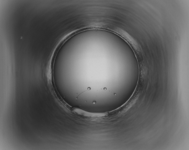 X0000101990940200807251223