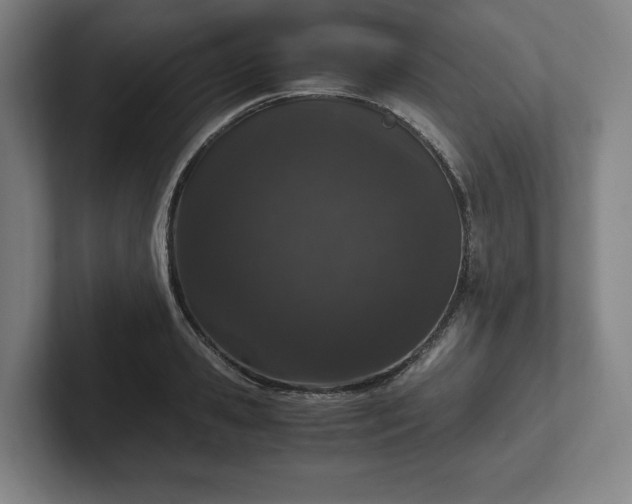 X0000101990941200807251223