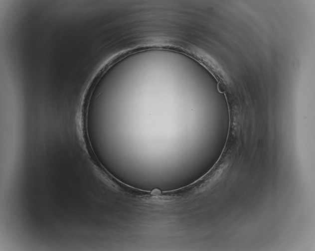 X0000101990942200807251223