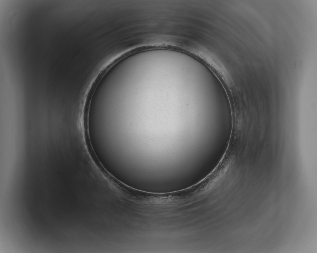 X0000101990943200807251223