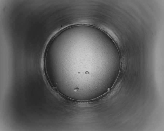 X0000101990944200807251223