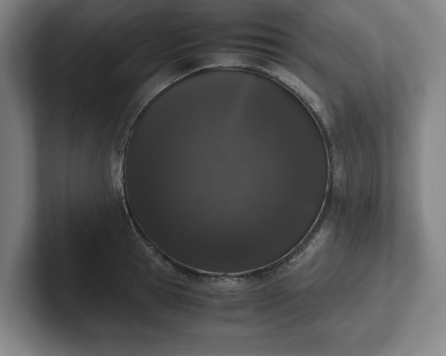 X0000101990945200807251223