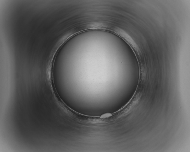 X0000101990946200807251223