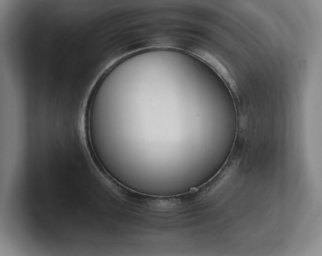 X0000101990947200807251223