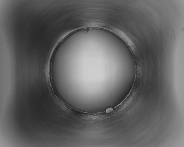 X0000101990948200807251223