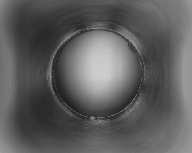 X0000101990949200807251223