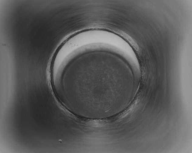 X0000101990950200807251223