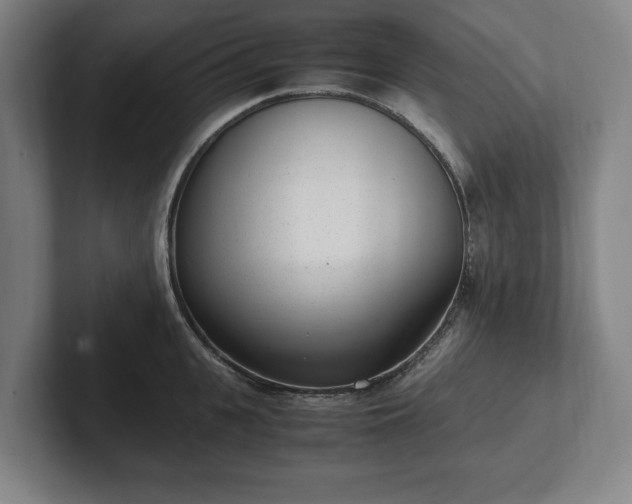 X0000101990951200807251223