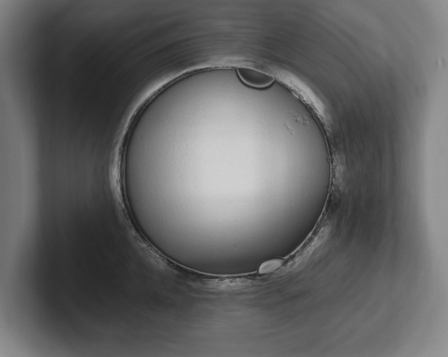 X0000101990952200807251223