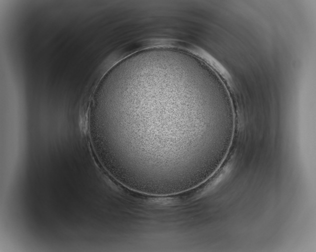 X0000101990953200807251223