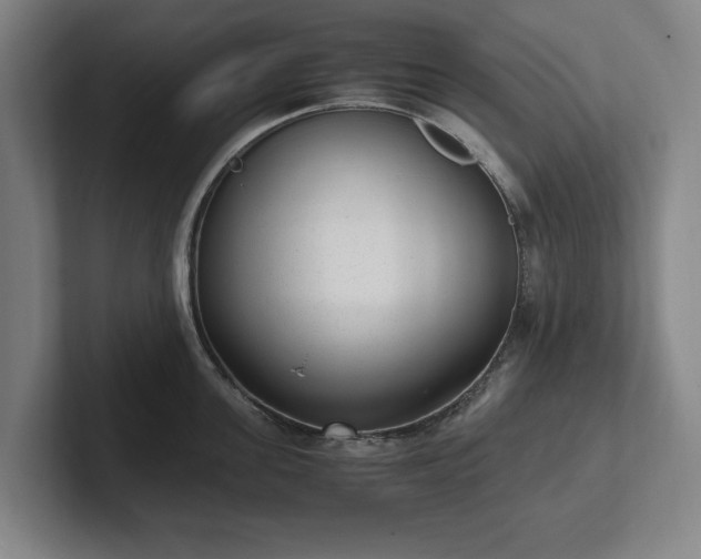 X0000101990955200807251223