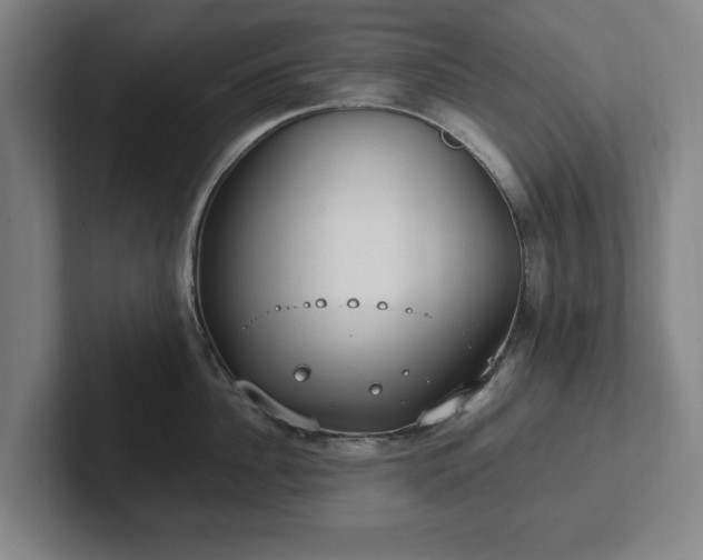 X0000101990956200807251223