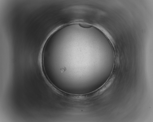 X0000101990957200807251223