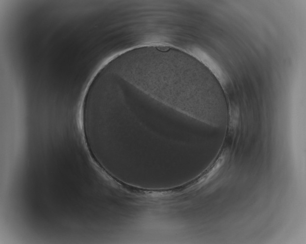 X0000101990958200807251223