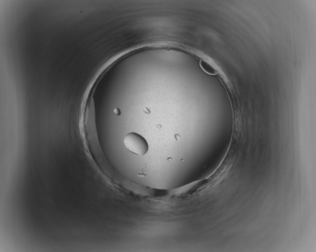 X0000101990959200807251223