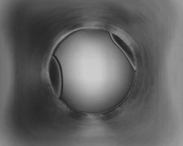 X0000101990960200807251223