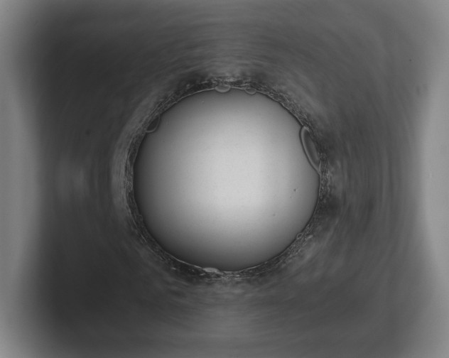 X0000101990961200807251223