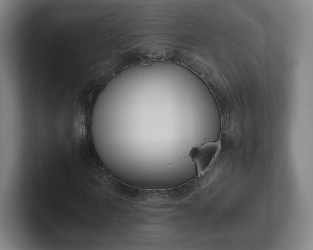 X0000101990962200807251223