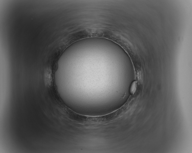X0000101990963200807251223