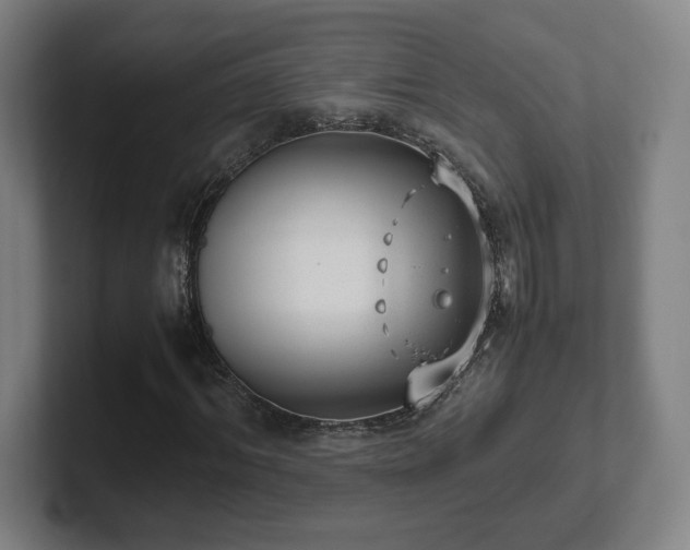 X0000101990964200807251223