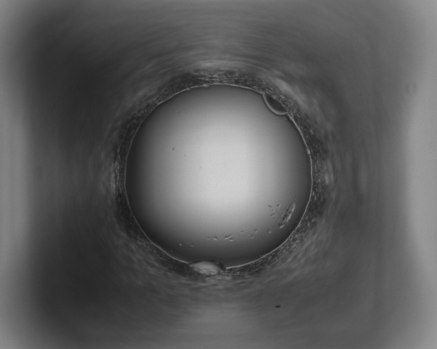 X0000101990965200807251223