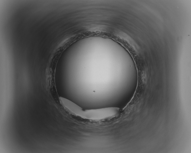 X0000101990968200807251223